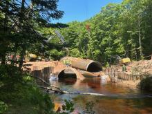 Michigan soliciting fisheries habitat projects 