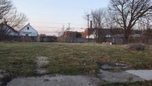 Vacant lots boost diversity among Detroit’s birds, study finds