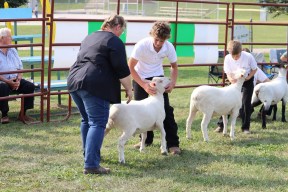 Fall fair season kicking off in Kincardine, Huron-Kinloss