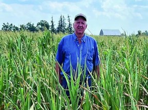 Central Ontario region suffers the driest year in 50