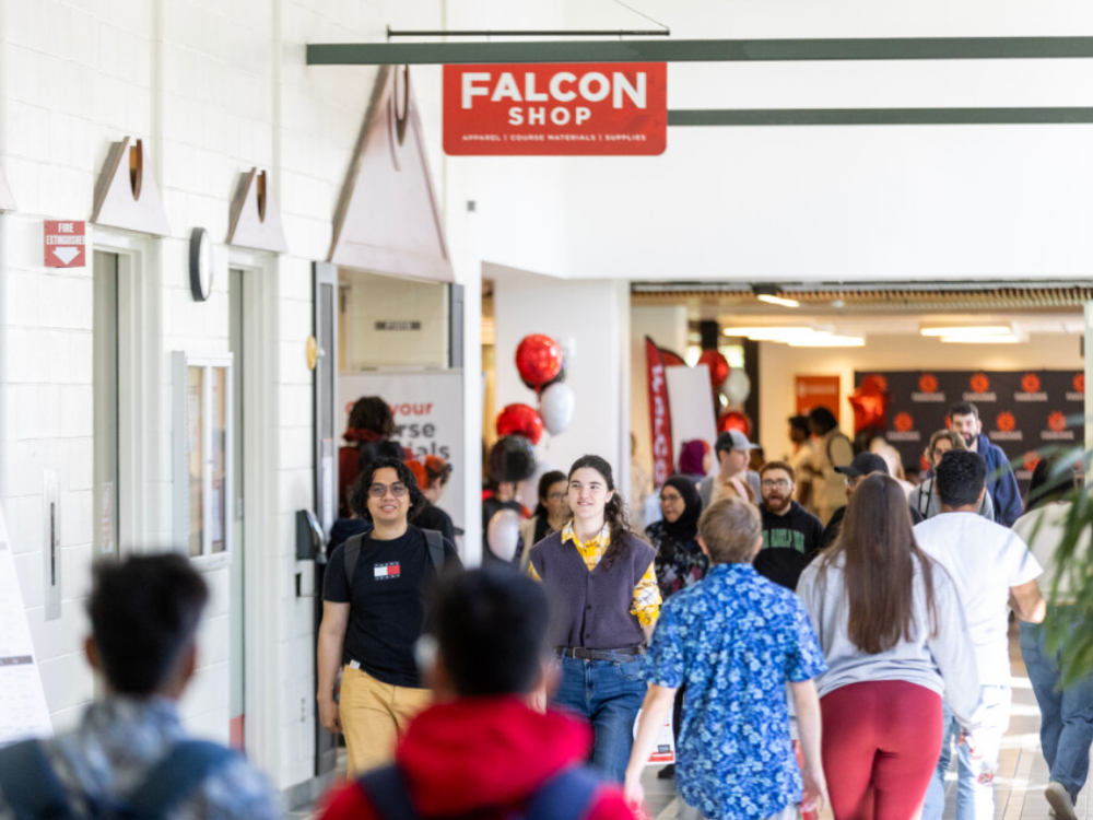 Foreign-student numbers plunge as Fanshawe College faces big changes 