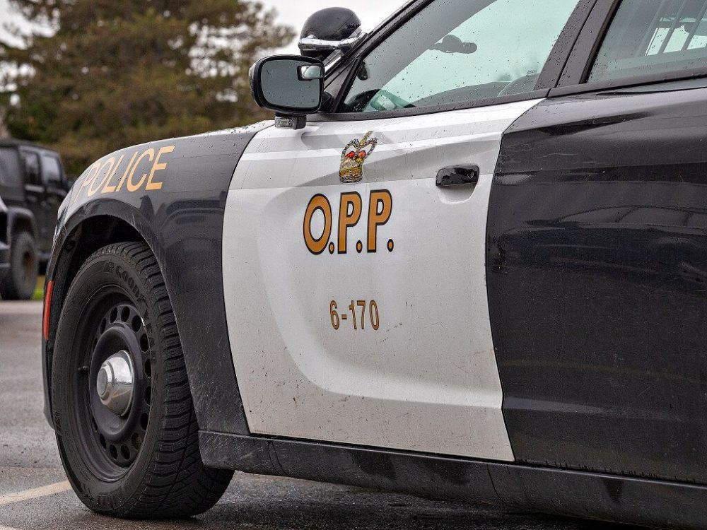 Victim defrauded of $130K in online investment scam: OPP