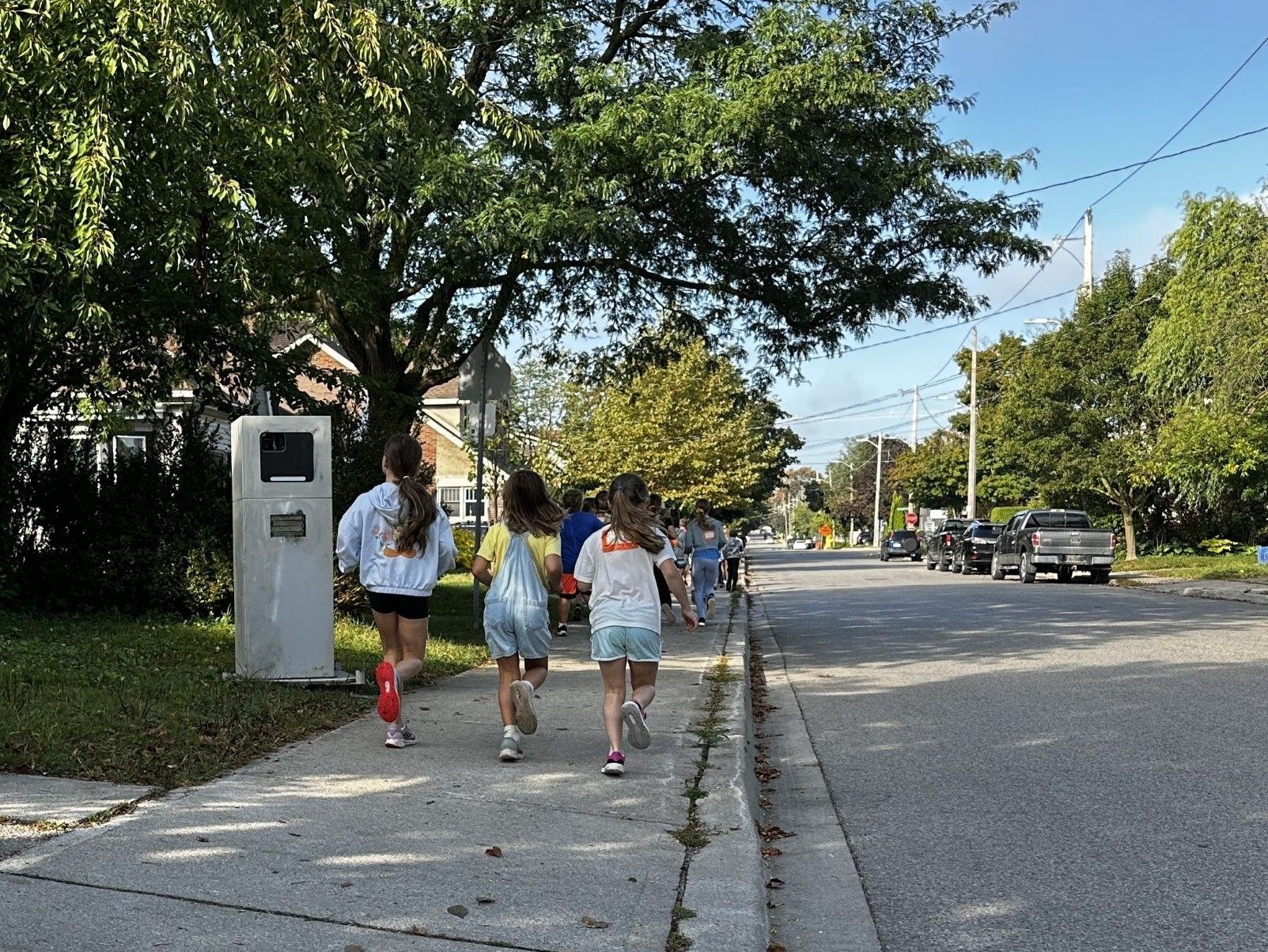 ‘Worst decision’: Londoners unhappy with plan to ban speed cameras