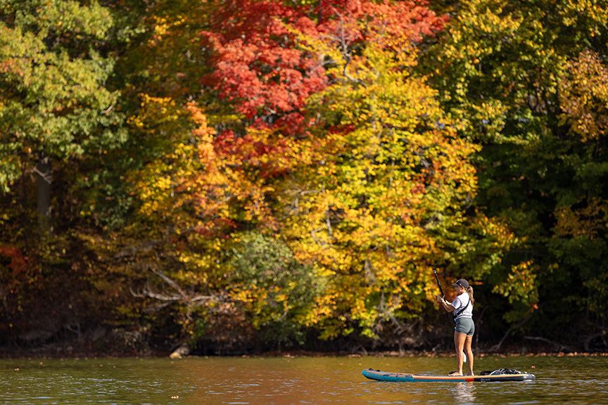 PHOTOS: Fall is in full swing in and around London PHOTOS: Fall is in full swing in and around London