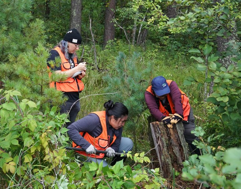 Anishinaabe fire practices shaped Great Lakes ecosystems, new research shows