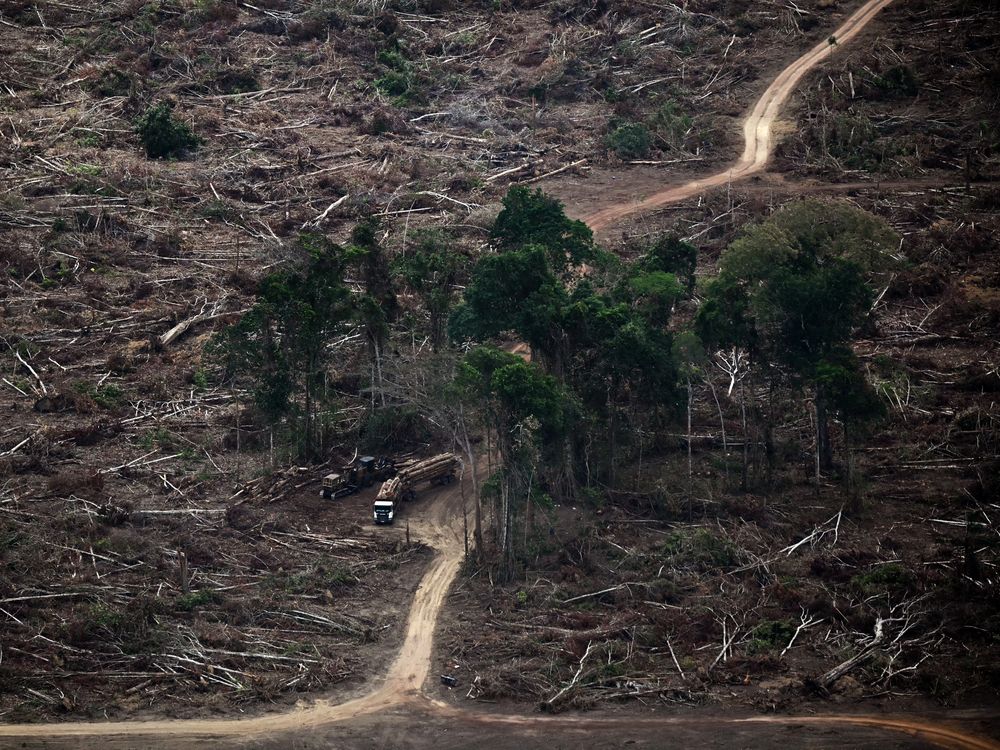 Dyer: Climate change dangerously out of fashion