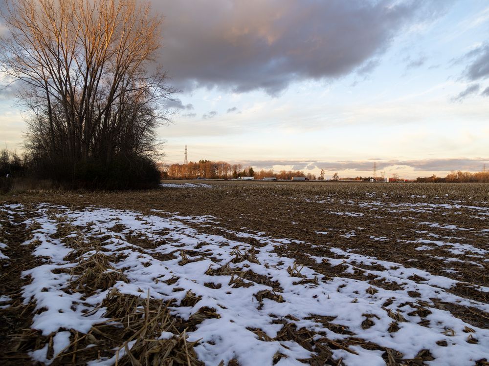 Micro-shelter plan moves ahead as survey flags homelessness as top issue