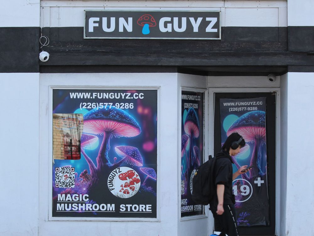 Why is alcohol legal: Magic mushroom advocate asks judge at sentencing