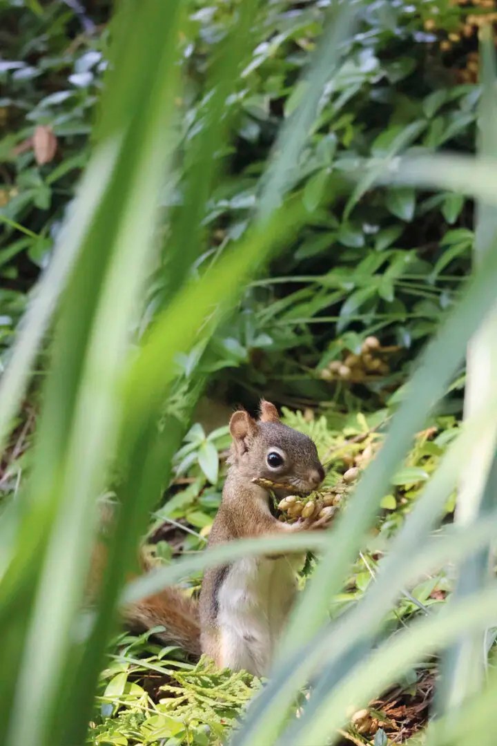 Check out these 7 amazing photos that won the 2025 Cottage Life Photo Contest