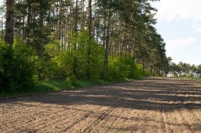 Mahon: The only category we don’t count in GDP calculations