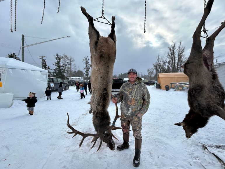 Michigan mulls changes in elk hunt regulations