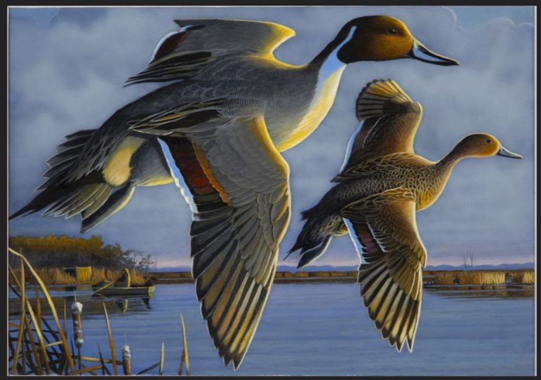 Wildlife stamps aim to improve conservation across the Great Lakes region