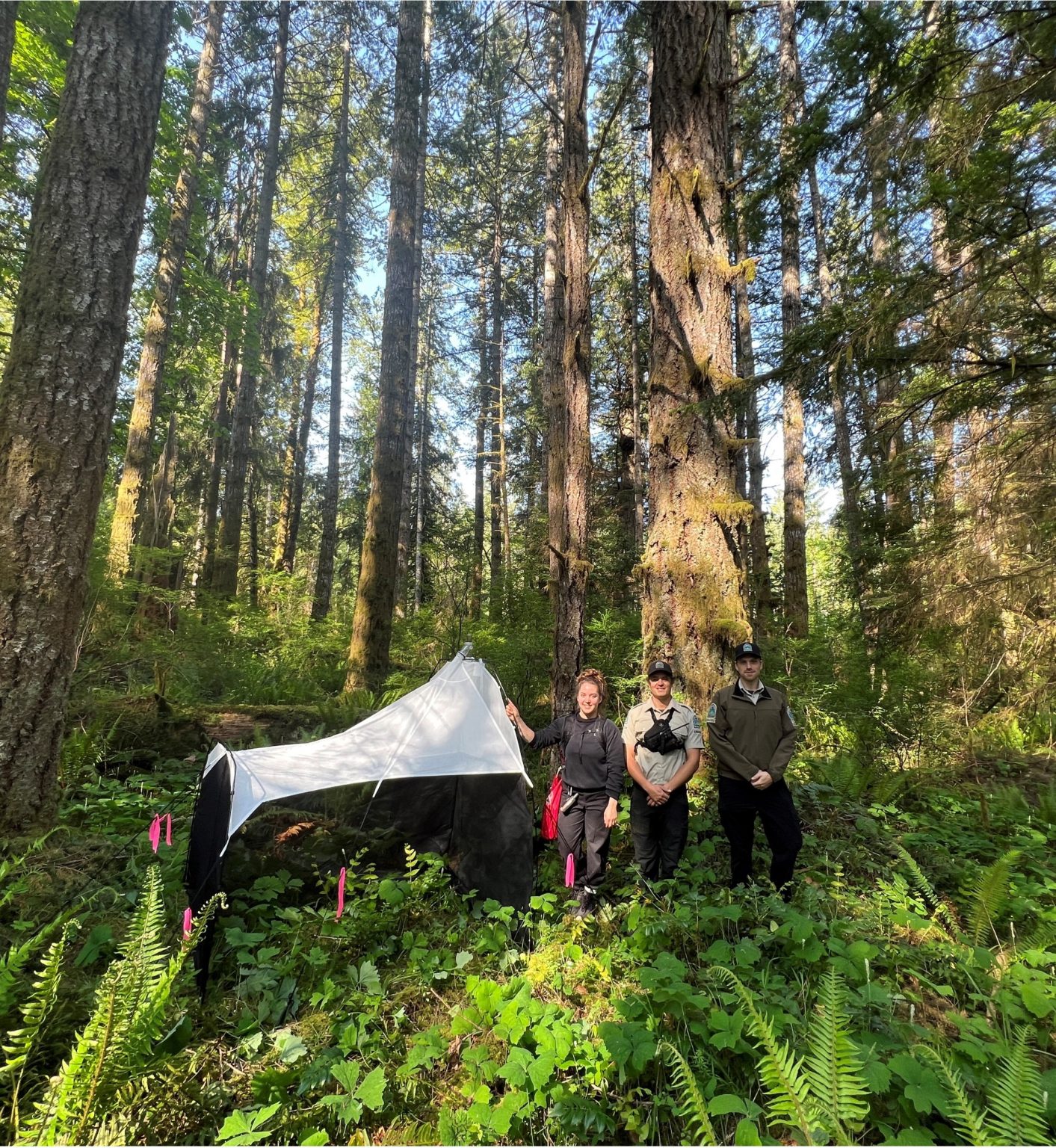 Researchers need your help to track Canada’s bug populations