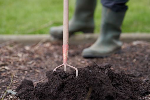 Growing Concerns: Make a list of garden jobs while ground dries