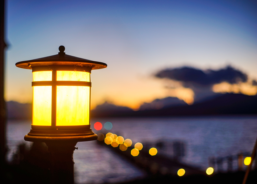 Cottage Q&A: Do dock lights cause blue-green algae?