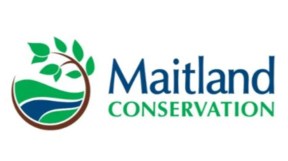 Maitland Conservation opposed to consolidation of local authorities