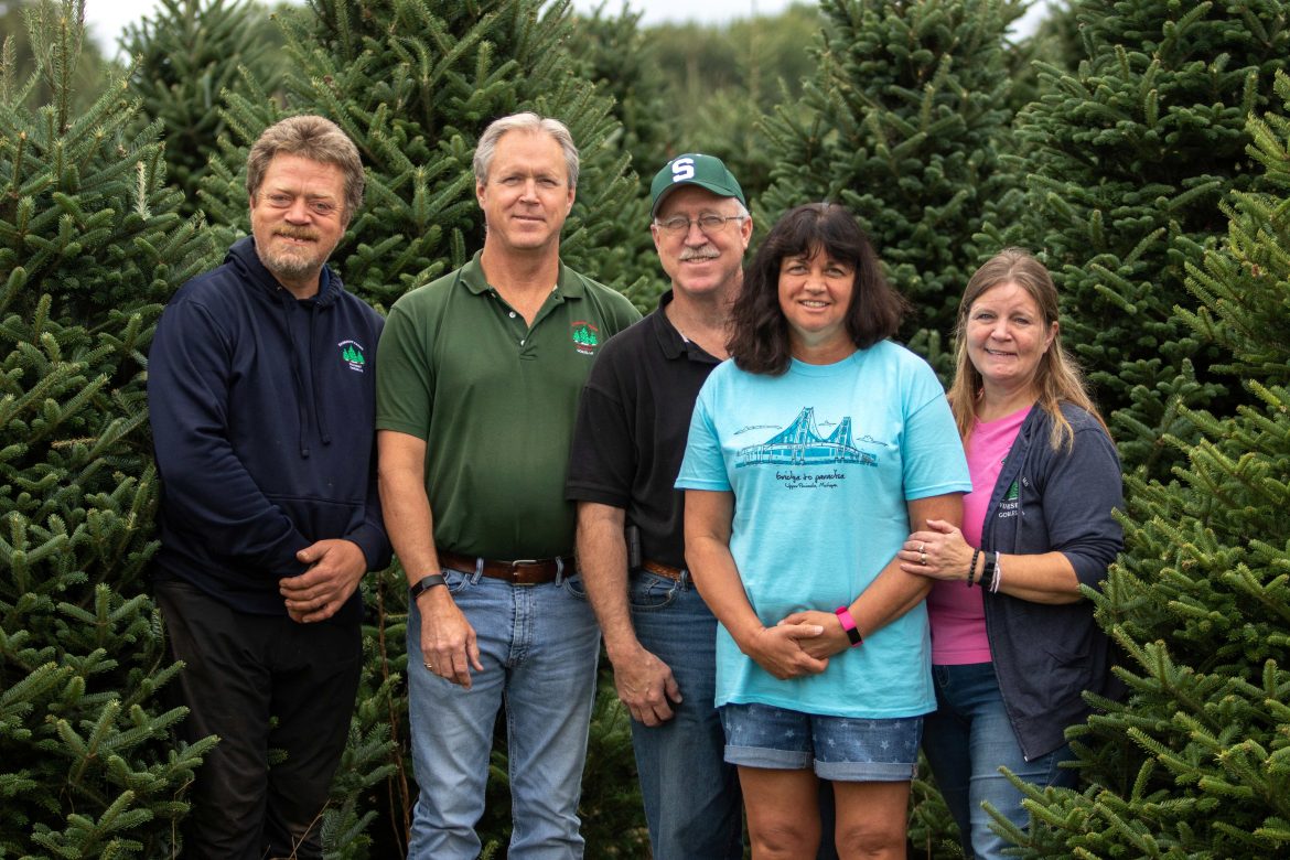 Study: Mulch, shade most effective methods of supporting Christmas tree survival 