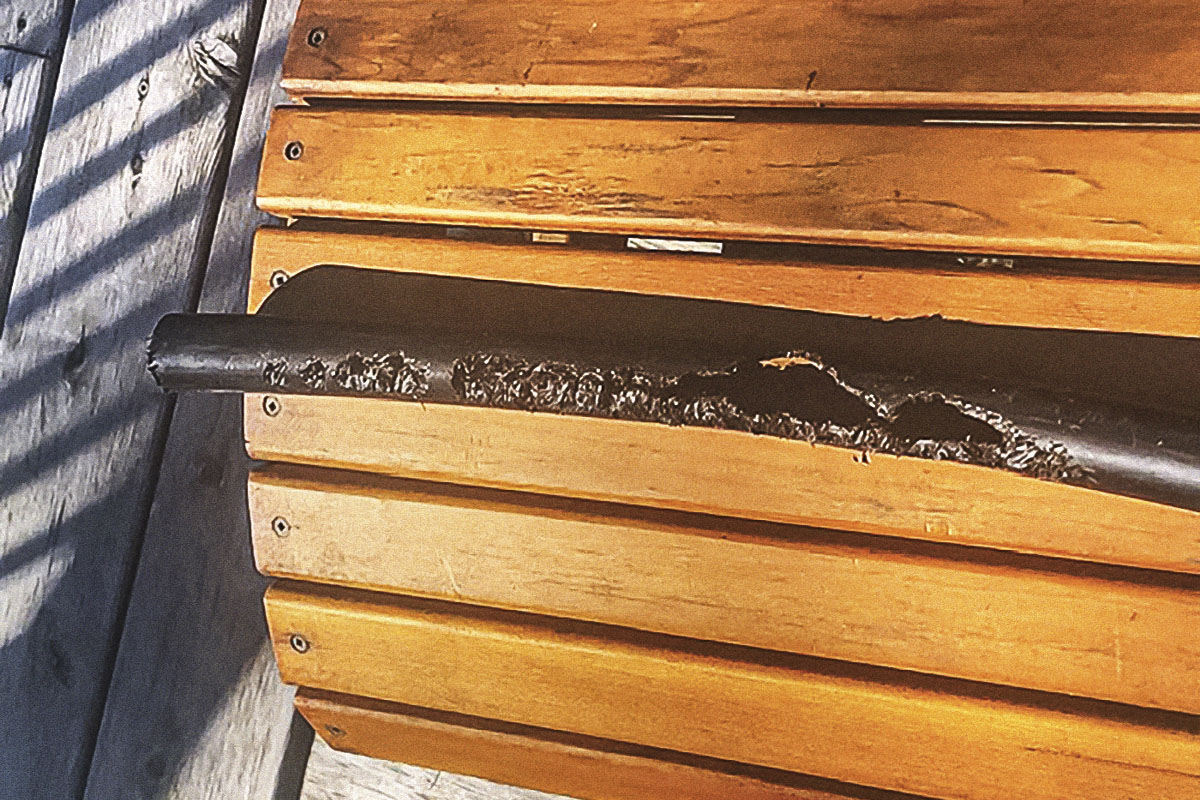 Cottage Q&A: What chewed through this pipe?