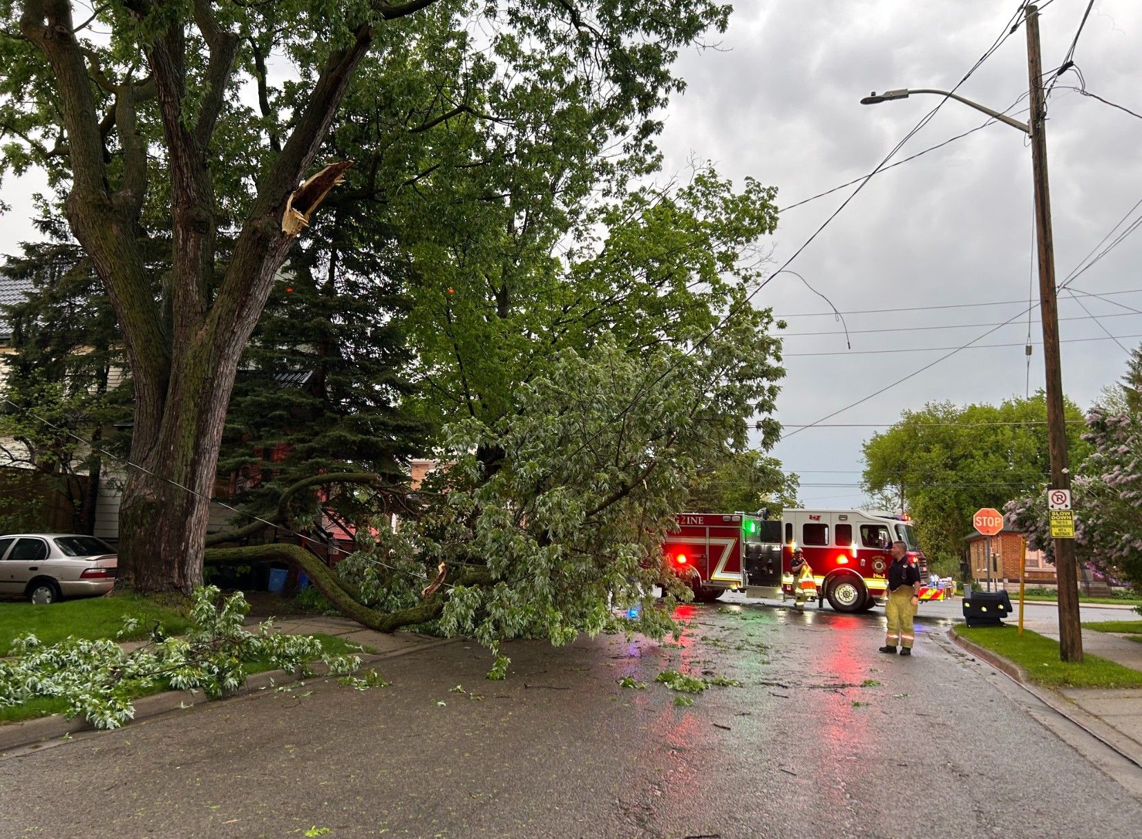 London storm fallout: Hydro outages persist, cleanup continues, no injuries