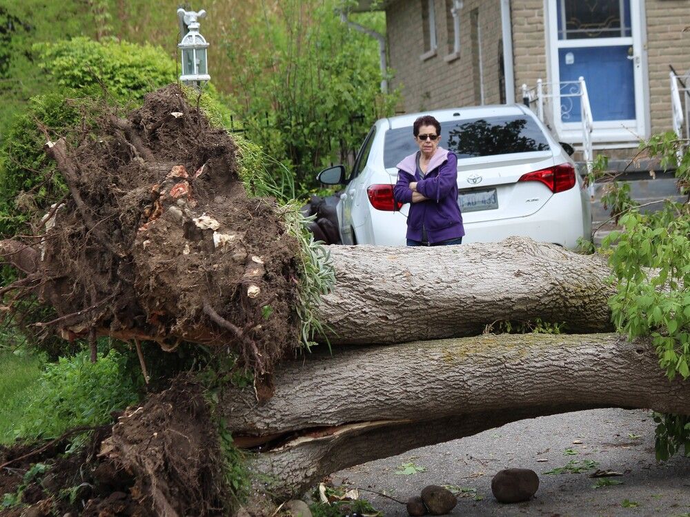 PHOTOS: One big storm, one street’s toll