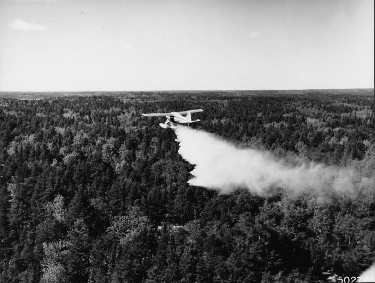 Setting fires on purpose to cut risk of catastrophic wildfires