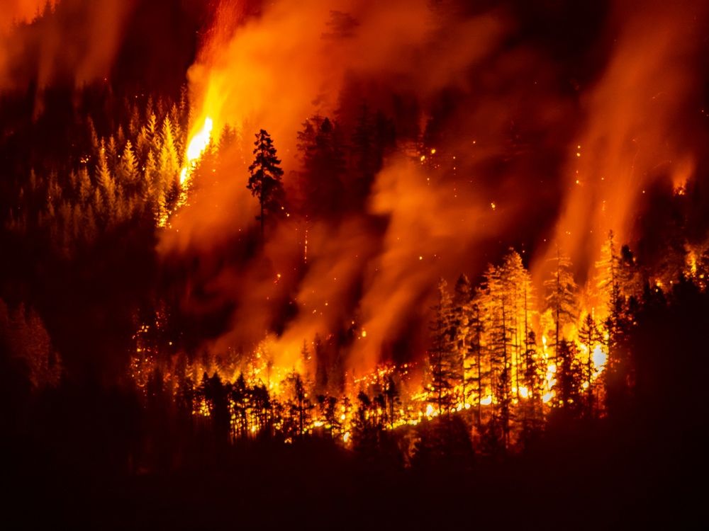 Baranyai: Canada backtracks on climate action
