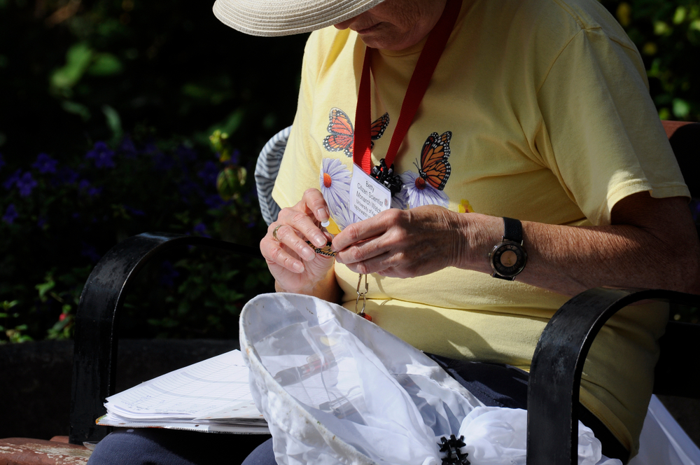 Citizen science is more important than ever—here’s how you can help