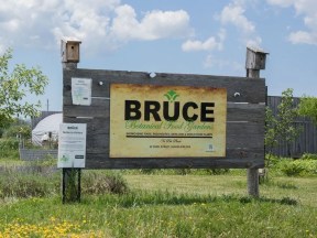 Bruce Botanical Food Gardens hosting summer youth stewardship program
