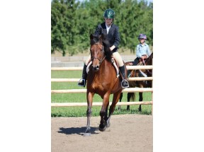 Second Dungannon Horse Show of season draws dozens of young riders