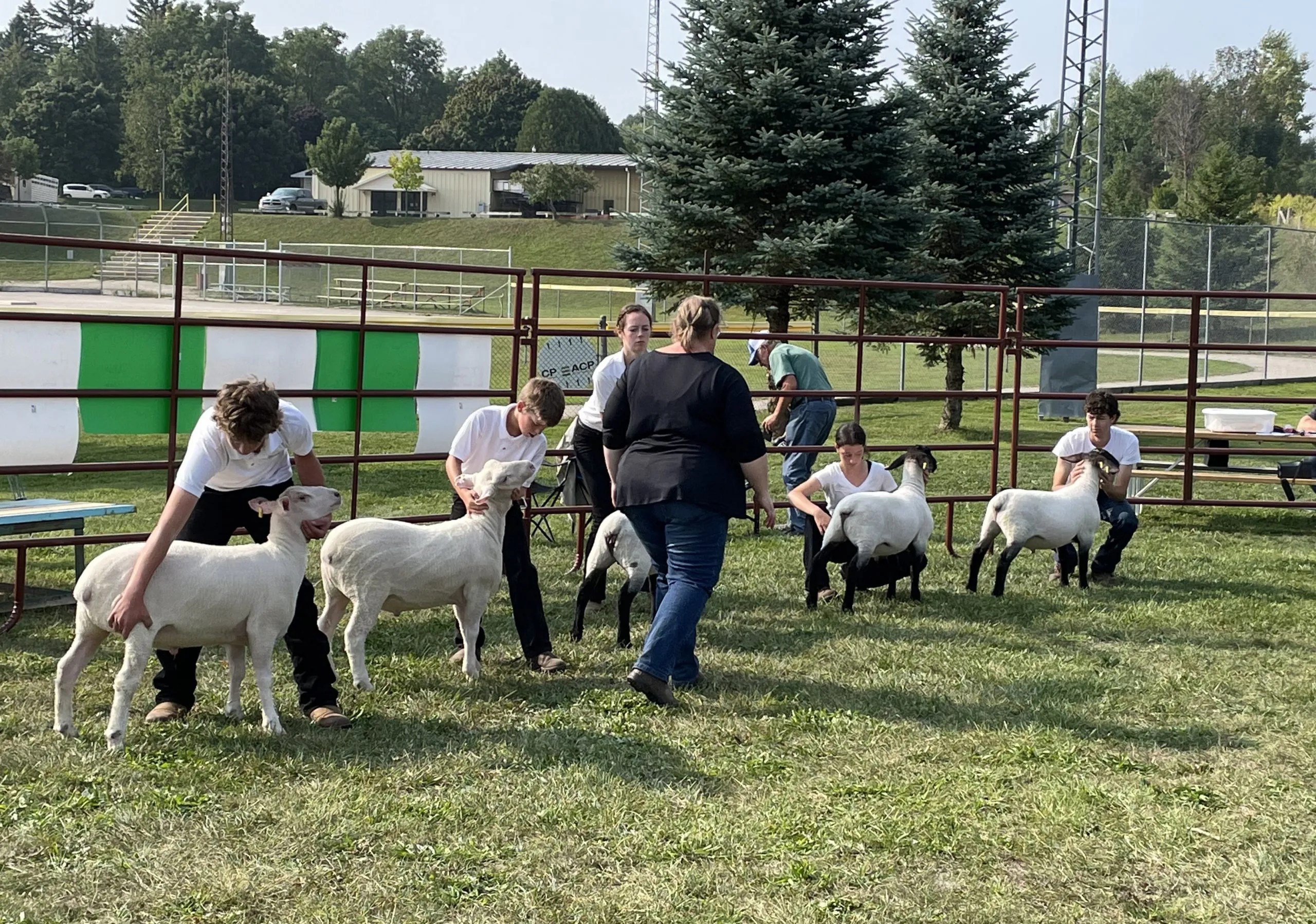 Planning underway for Lucknow’s ‘Barn Yard Bash’ this fall