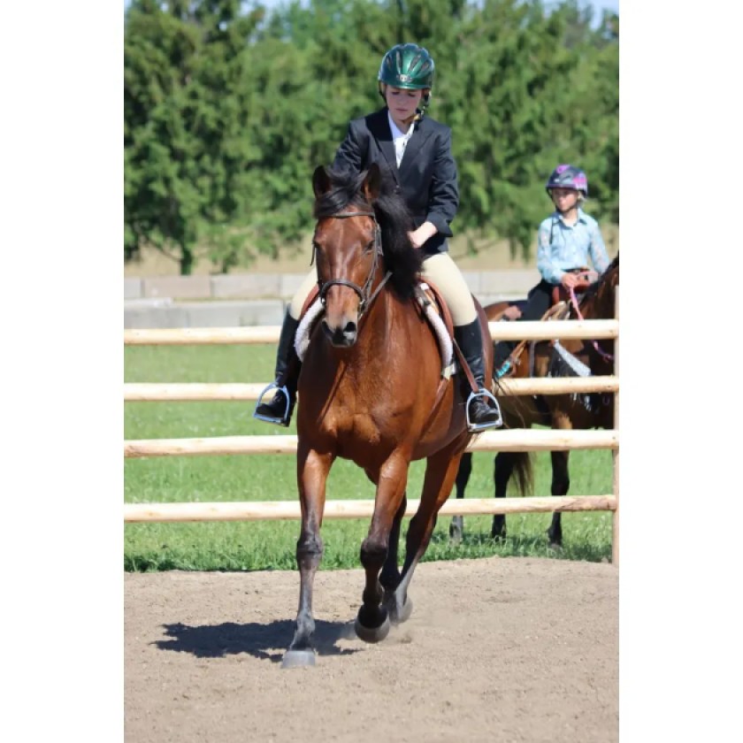 Second Dungannon Horse Show of season draws dozens of young riders