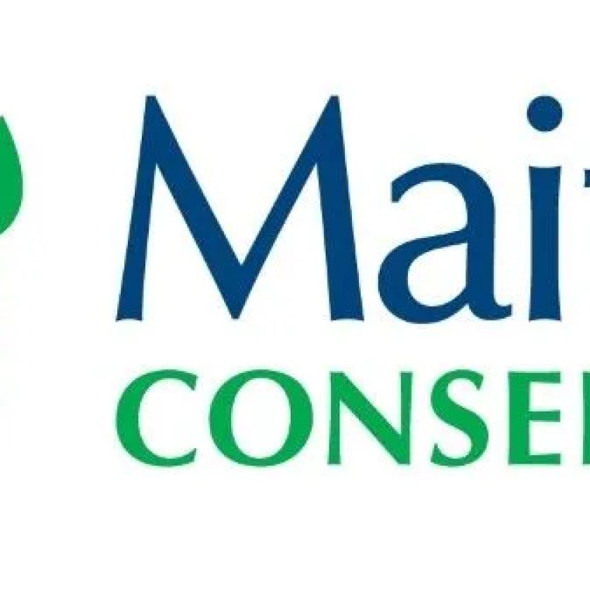 Explore the Maitland Valley watershed in the 75-minute challenge