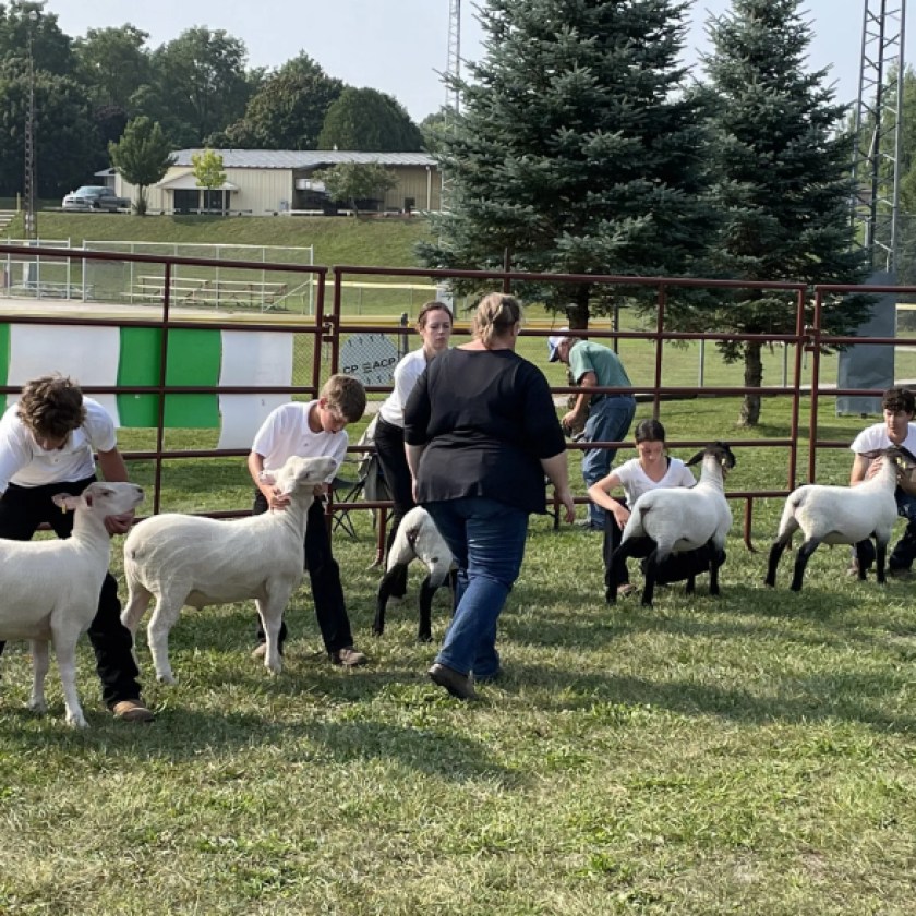 Planning underway for Lucknow’s ‘Barn Yard Bash’ this fall