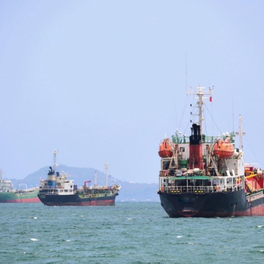 Experts warn that stranded cargo ships could cause an invasive species “super-spreader” event