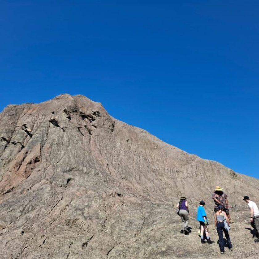 Fossils found in Illinois challenge scientists’ assumptions about early land animals