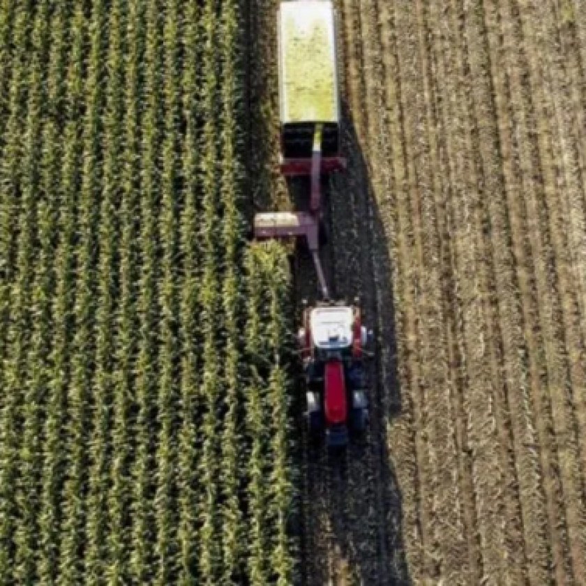 Excessive rainfall in Michigan may affect nutrients in soil amid fertilizer price increases