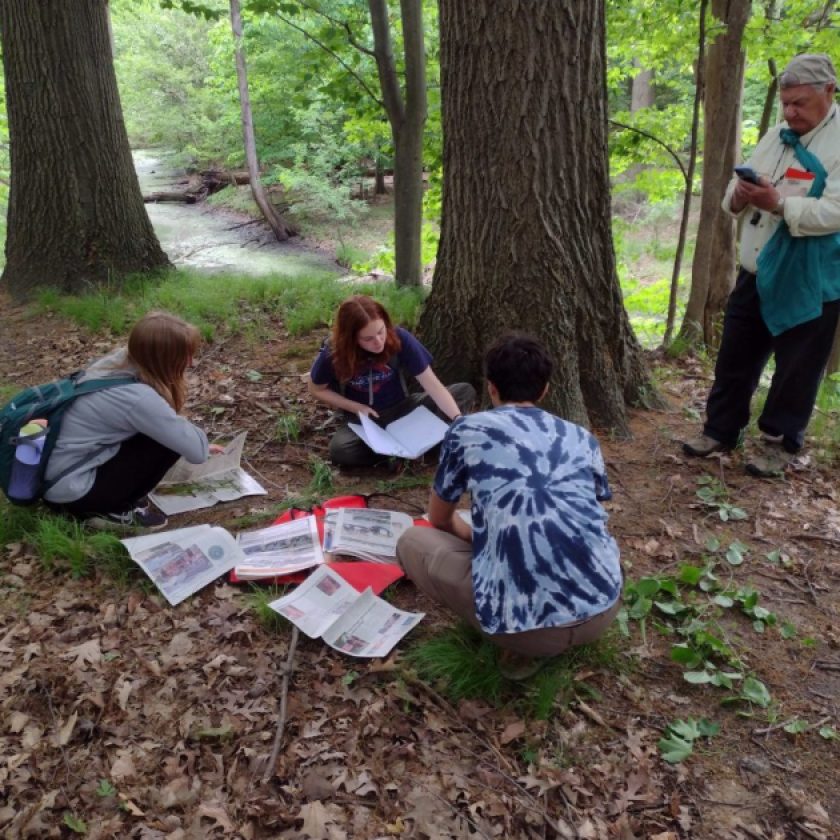 Study finds one of Michigan’s healthiest forests in Grand Rapids