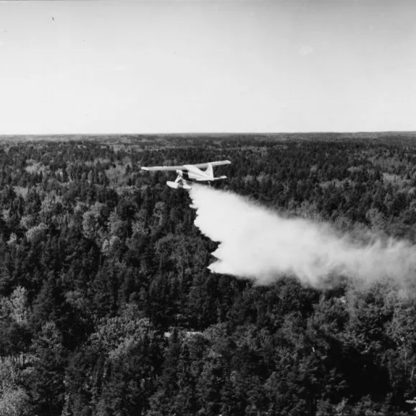 Setting fires on purpose to cut risk of catastrophic wildfires