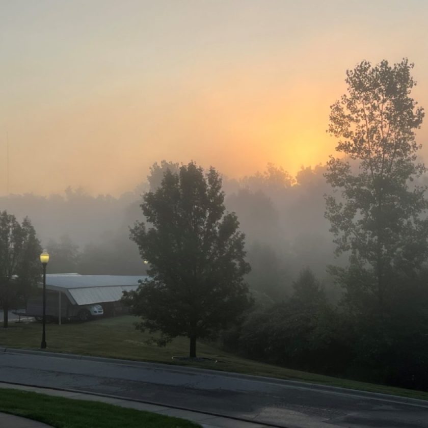 How wildfire smoke impacts pets, wildlife