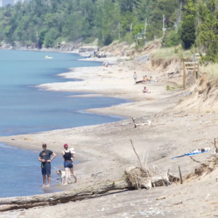 Body of missing Pinery Provincial Park swimmer found: Police
