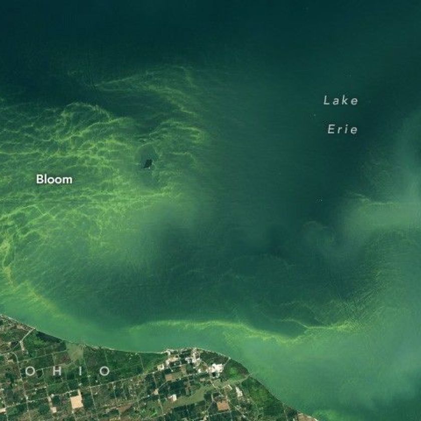 How scientists predict Lake Erie’s harmful algal blooms months before they appear