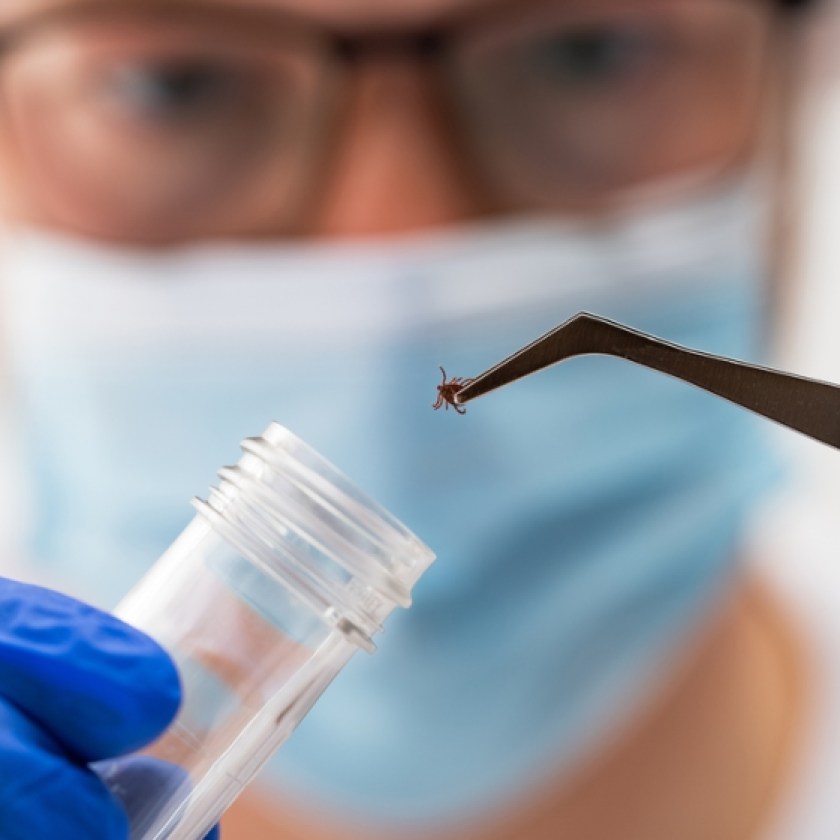 Cottage Q&A: Do health units still test ticks for Lyme?