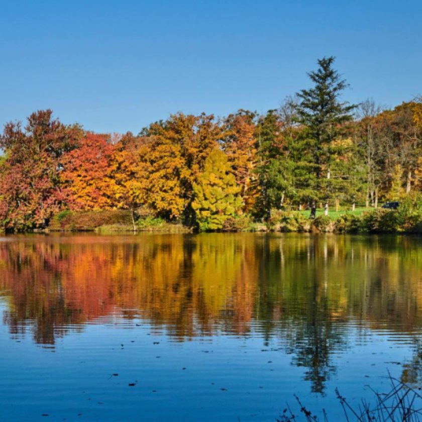 How El Niño Could Affect Fall Colors in the Great Lakes Region