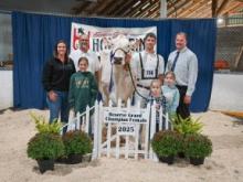 Kincardine, Lucknow entries take top spots at Bruce Grey Holstein Show
