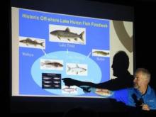 Huron Bruce Nature learns about Lake Huron fish communities Huron Bruce Nature learns about Lake Huron fish communities