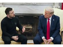 Dyer: Flamingos even things up a bit for Ukraine Dyer: Flamingos even things up a bit for Ukraine