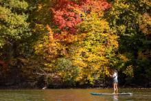 PHOTOS: Fall is in full swing in and around London