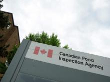 Bird flu outbreak hits 32,000 birds at Southwestern Ontario farm