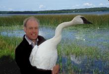 From otters to butterflies: How Minnesota became a pioneer in nongame wildlife conservation