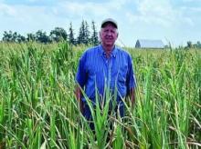 Central Ontario region suffers the driest year in 50